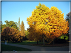 foto Parco Karlsaue in Autunno